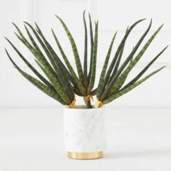 Faux Snake Grass Pick - Set Of 3 -Art Exhibition Shop 209204912 67761.1690278982.386.513