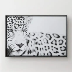 Majestic Calm -Art Exhibition Shop 725121331 87862.1690292326.386.513