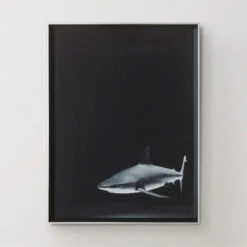 Silence In The Deep -Art Exhibition Shop 725159654 37014.1690292287.386.513