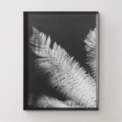 Tropical Palm Duet -Art Exhibition Shop 725183312 71425.1690292285.386.513