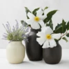 Rayann Vase - Set Of 3