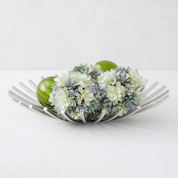 Jupiter Plate 1 Jupiter Plate