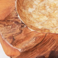 Organic Capiz Bowl -Art Exhibition Shop webimage 160160778 DTL