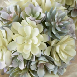 Faux Succulent Sphere -Art Exhibition Shop webimage 207191139 DTL