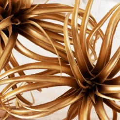 Faux Air Plant -Art Exhibition Shop webimage 209168339 DTL