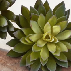 Faux Thorn Succulent Pick -Art Exhibition Shop webimage 209207824 dtl