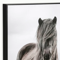 Full Fringe -Art Exhibition Shop webimage 630334937 alt2