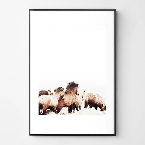 Wild And Free 1 Wild And Free