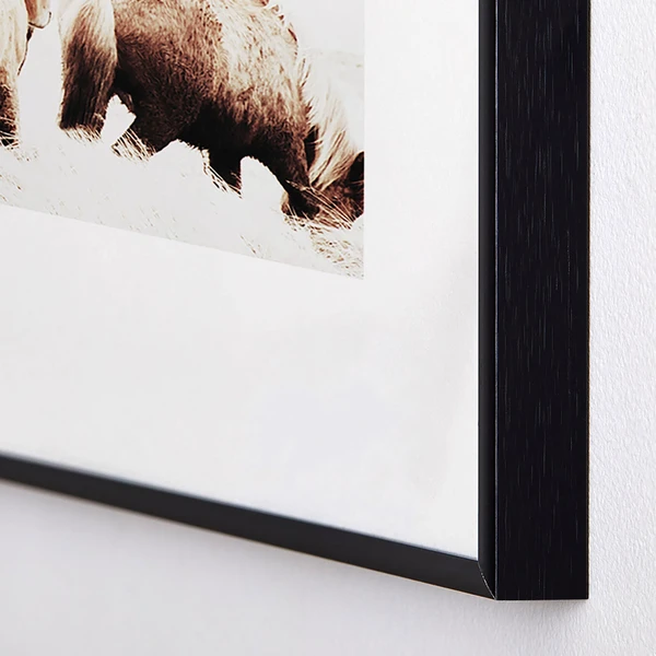 Wild And Free 2 Wild And Free - Image 2