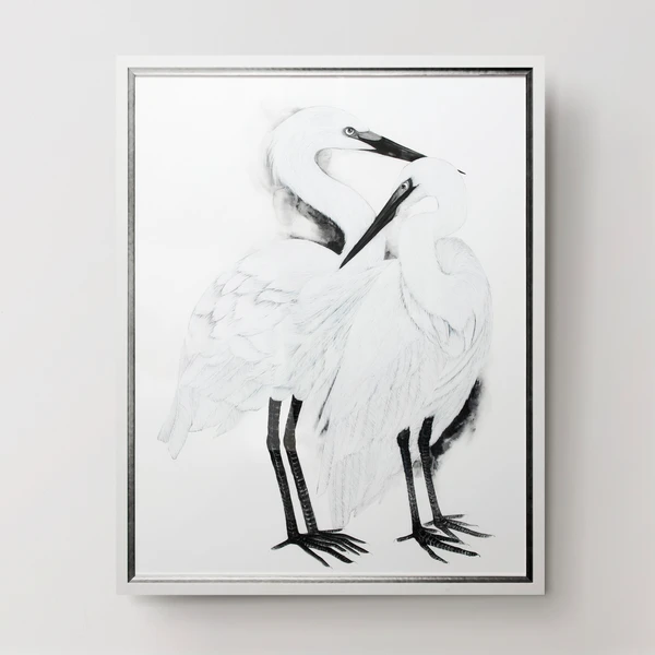 Companionship 1 Companionship