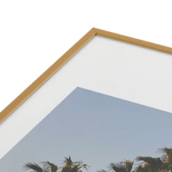 La Palms -Art Exhibition Shop webimage 630681809 DTL2